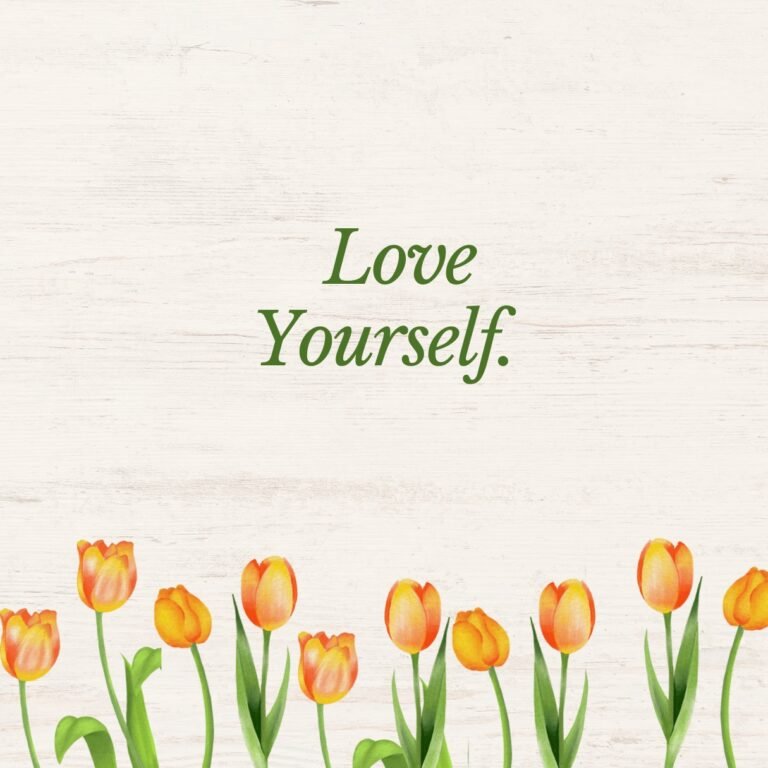 Daily Affirmations for Beginners: Master a Positive Mindset positive affirmations